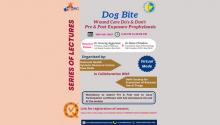 STG-Lecture-Series 